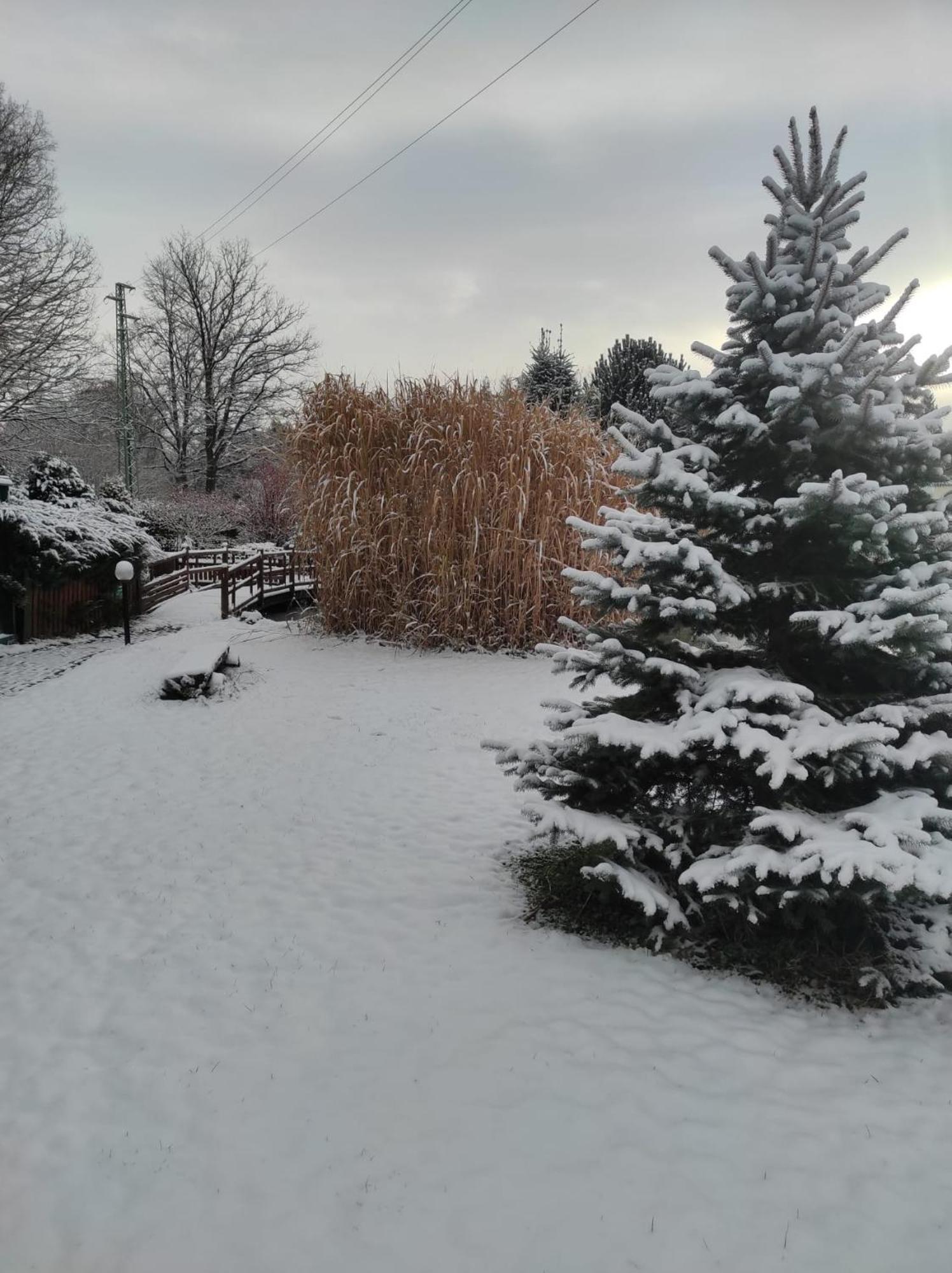 Penzion Kosky Hamr Exteriör bild