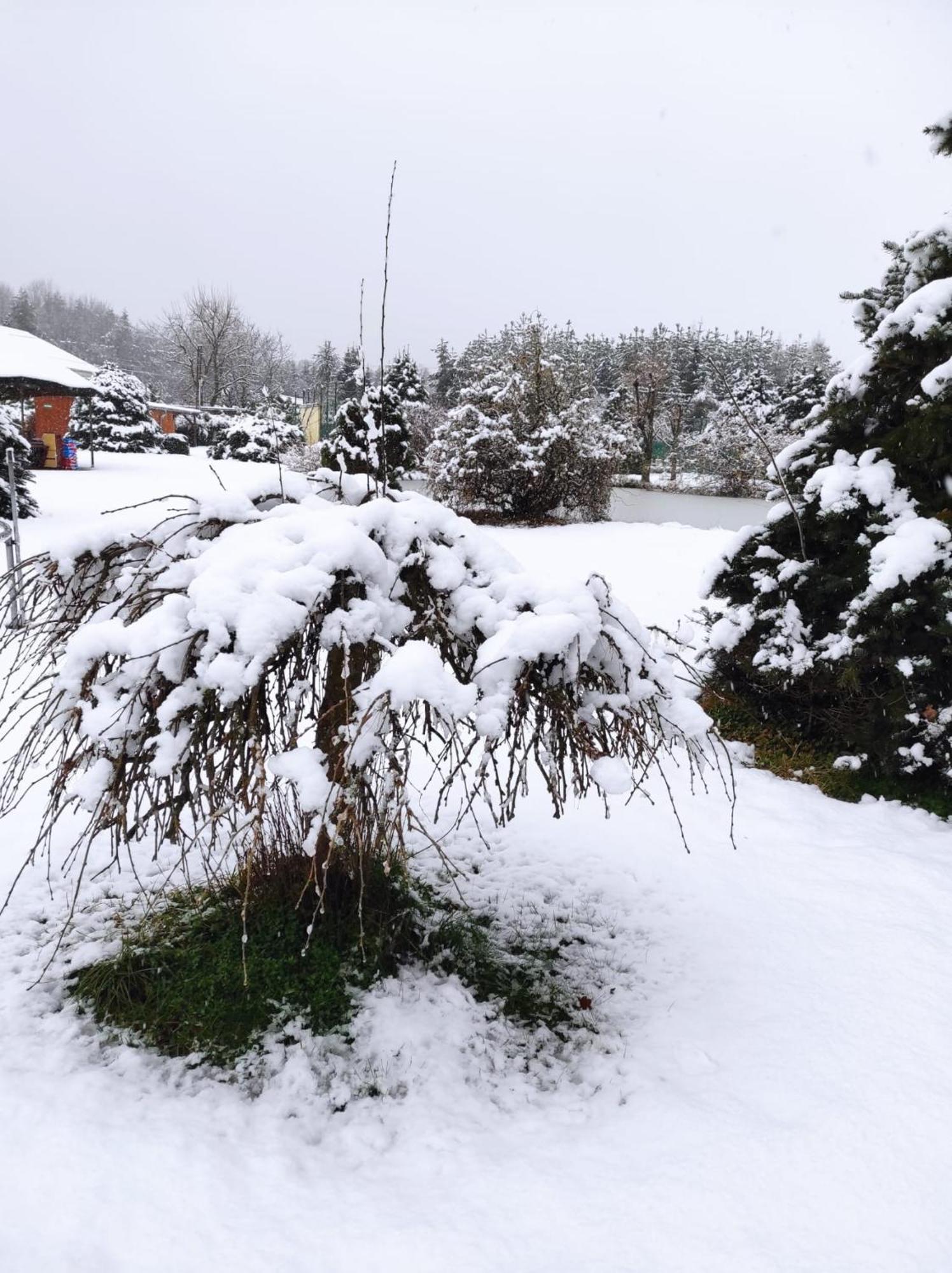 Penzion Kosky Hamr Exteriör bild