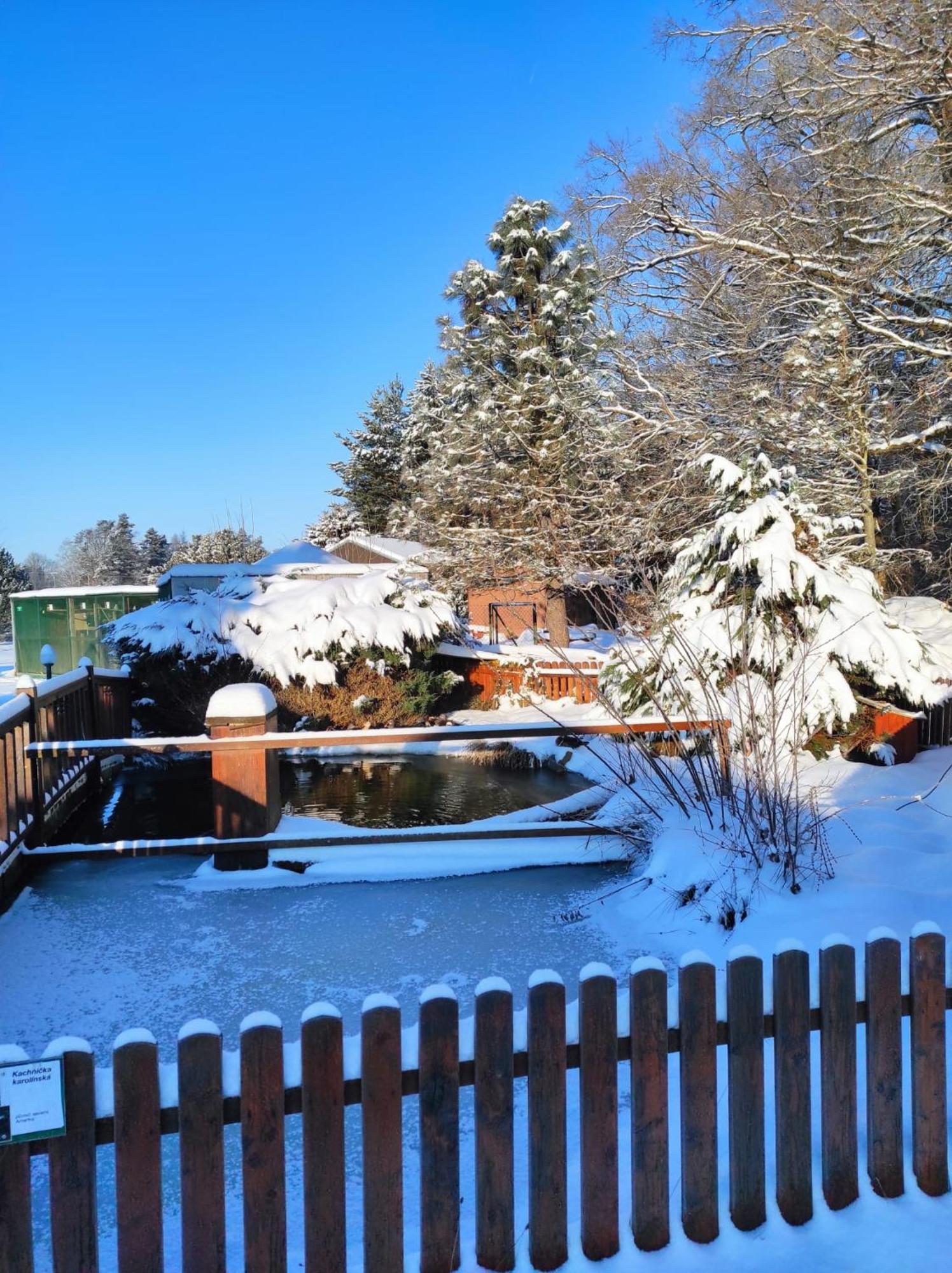 Penzion Kosky Hamr Exteriör bild