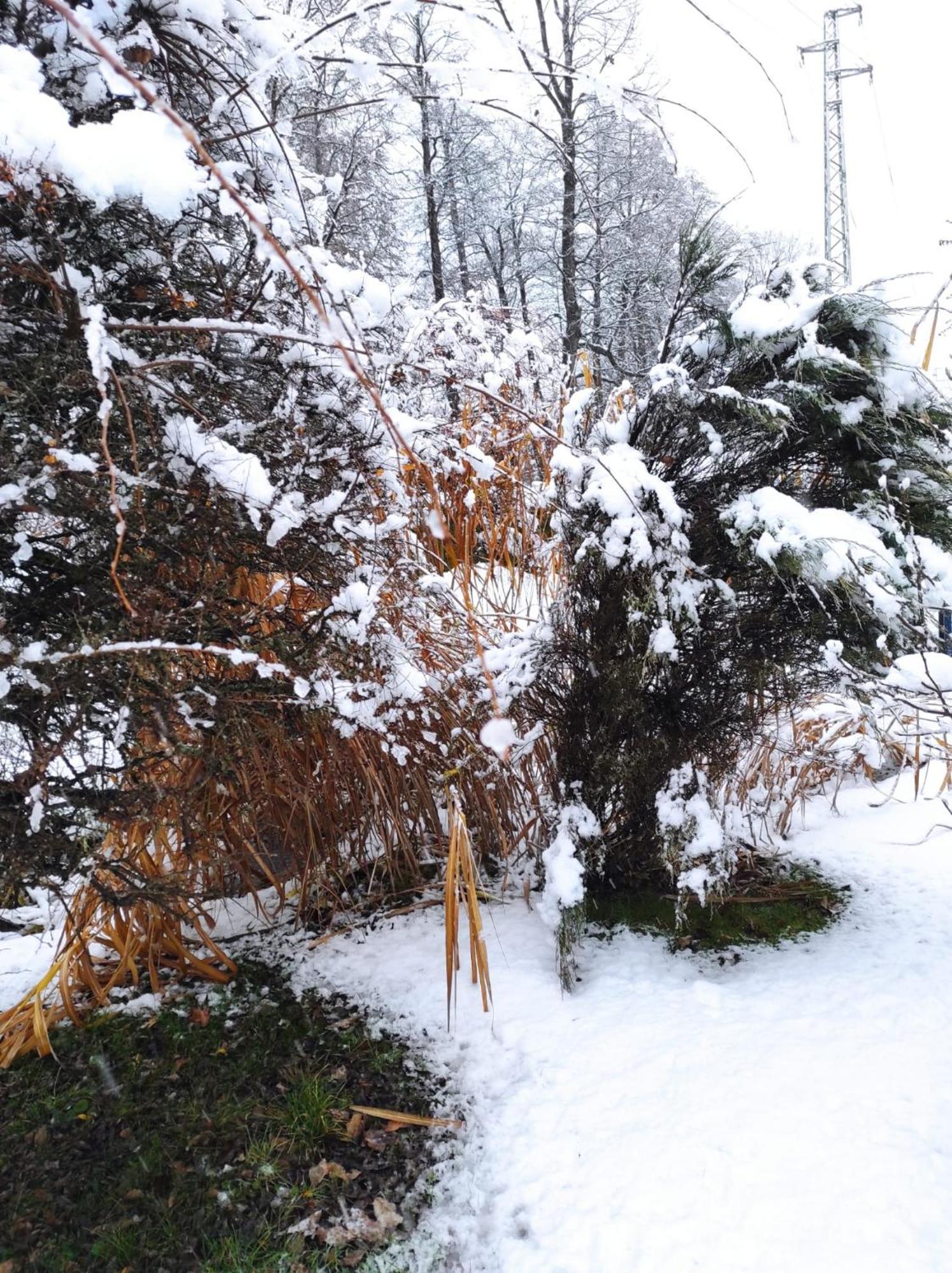 Penzion Kosky Hamr Exteriör bild