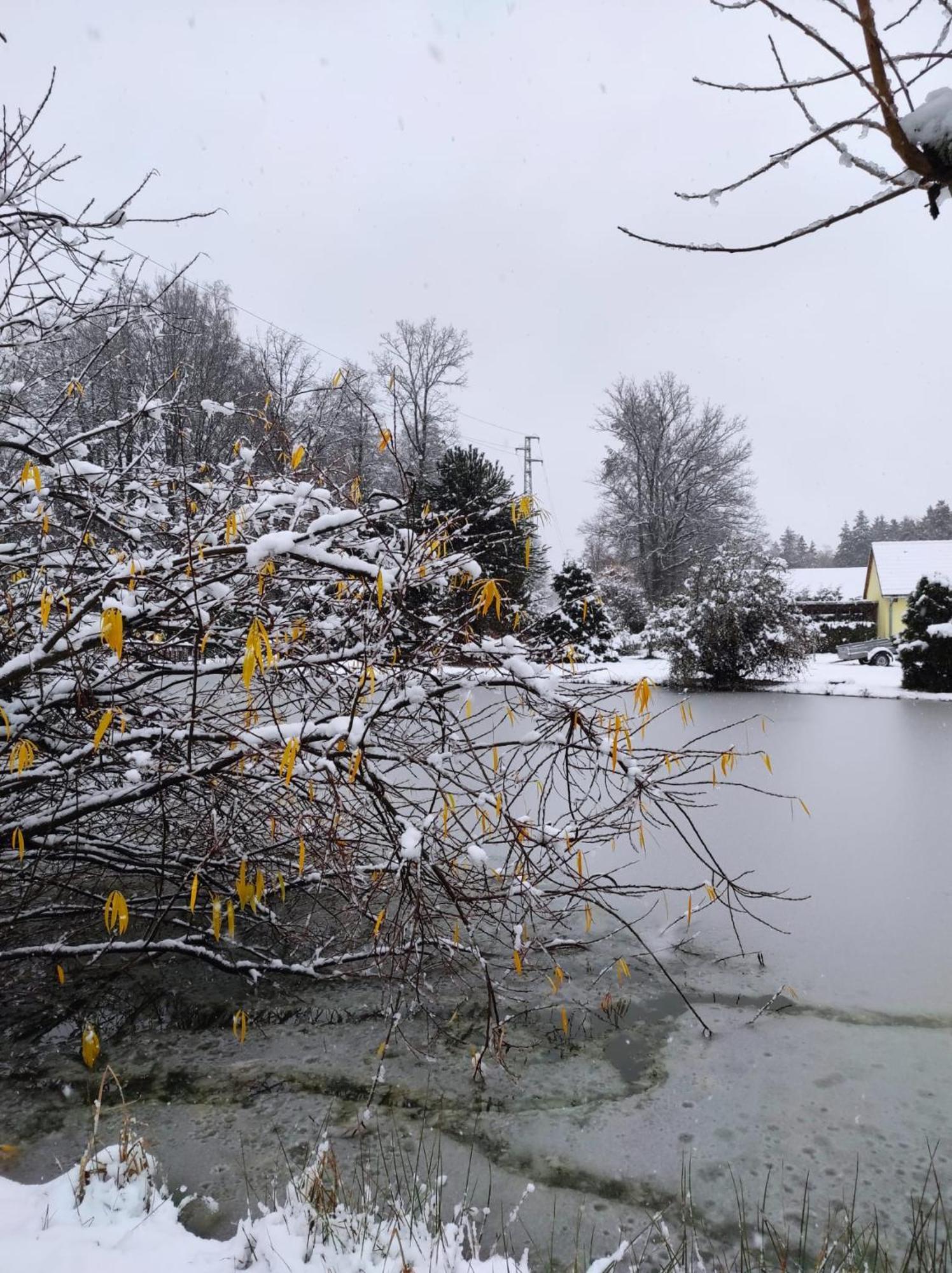 Penzion Kosky Hamr Exteriör bild
